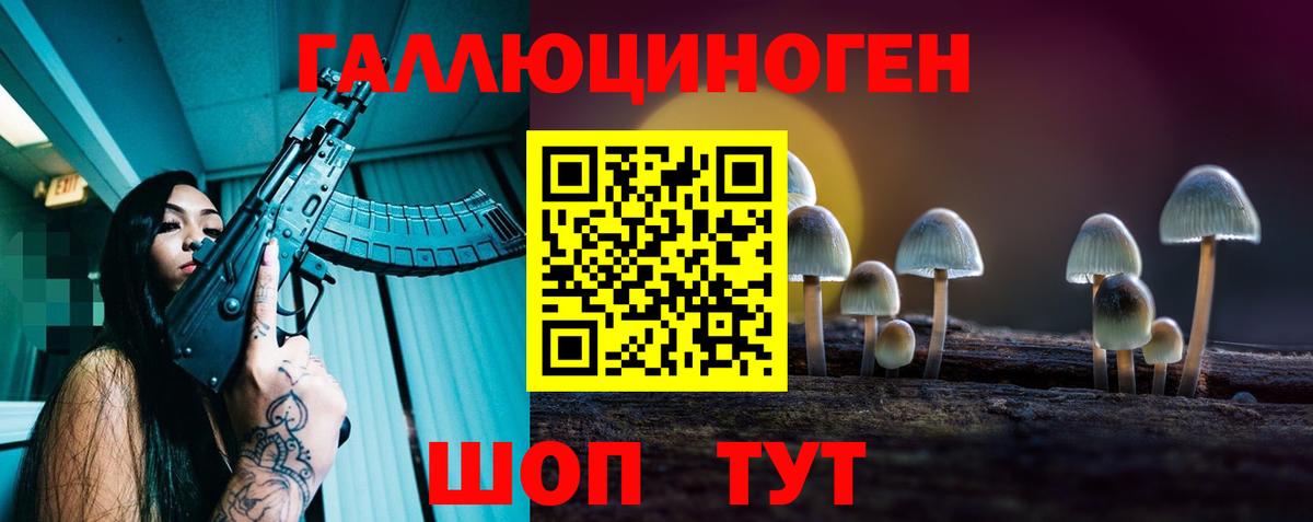 Галлюциногенные грибы Psilocybe  Вход с VPN  Нижний Тагил 